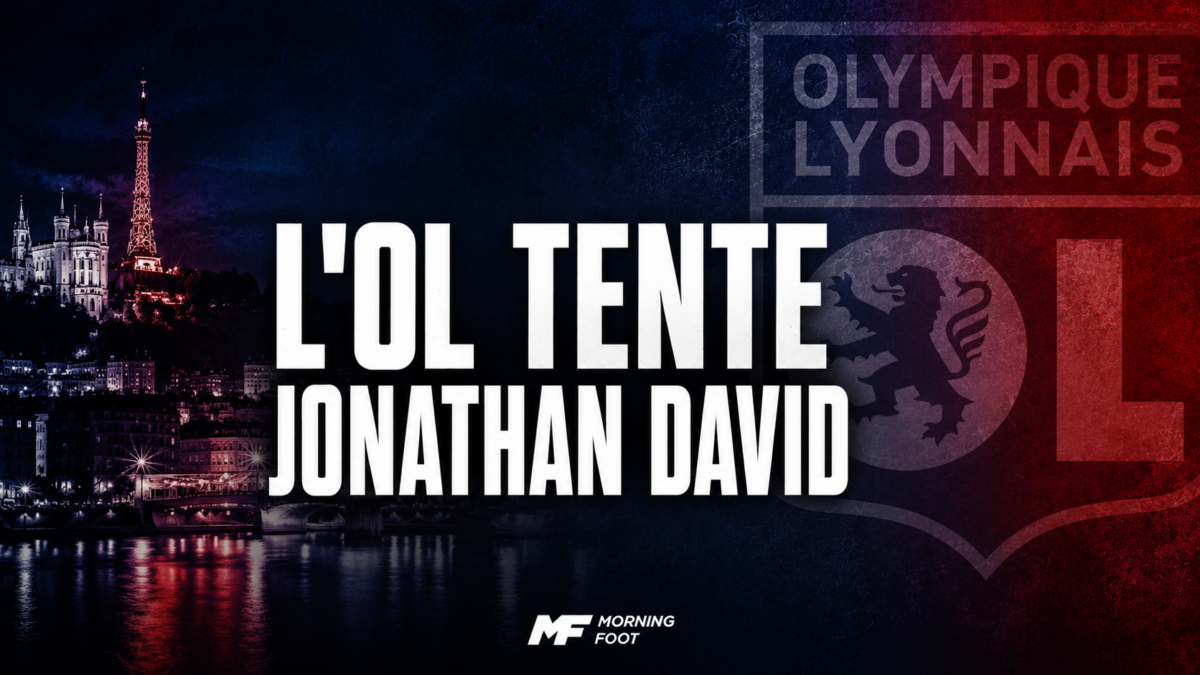 OL David