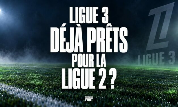 Ligue 3 : ces joueurs ont déjà le profil pour la Ligue 2